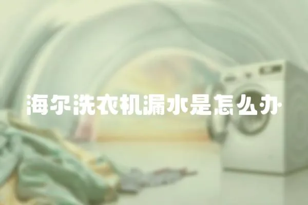 海爾洗衣機漏水是怎么辦