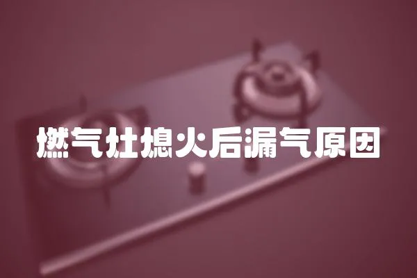 燃?xì)庠钕ɑ鸷舐庠?></a></div>
                    <div   id=