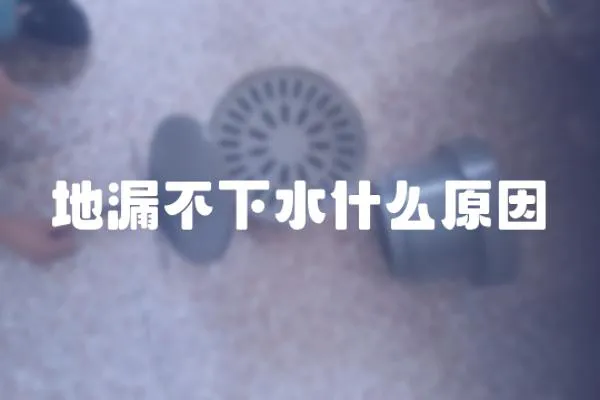 地漏不下水什么原因