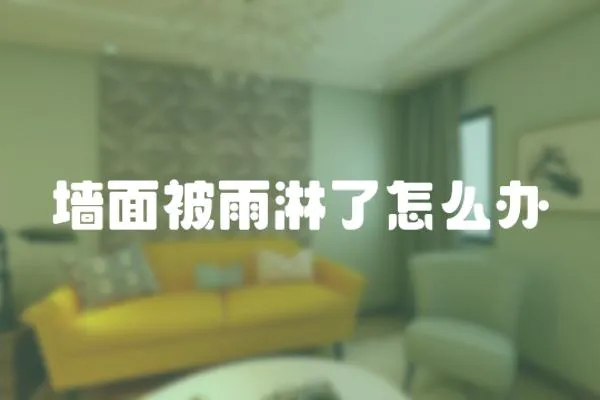 墻面被雨淋了怎么辦