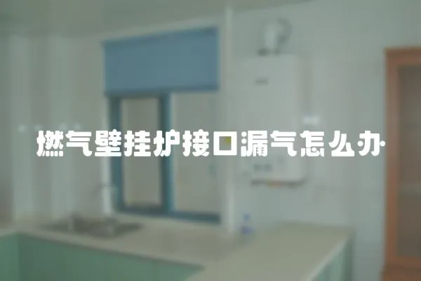 燃氣壁掛爐接口漏氣怎么辦