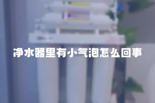 凈水器里有小氣泡怎么回事
