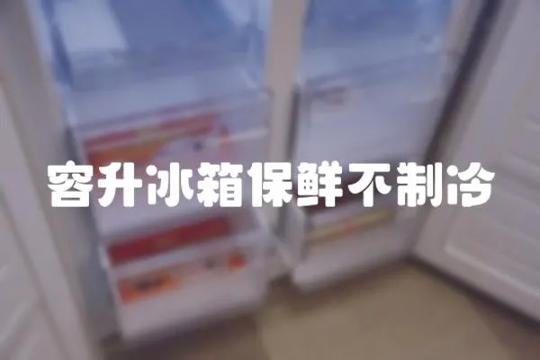 容升冰箱保鮮不制冷