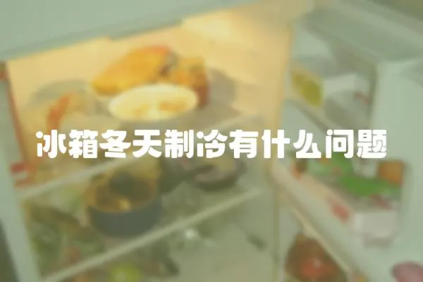 冰箱冬天制冷有什么問題