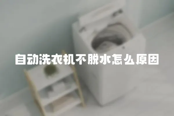 自動洗衣機不脫水怎么原因