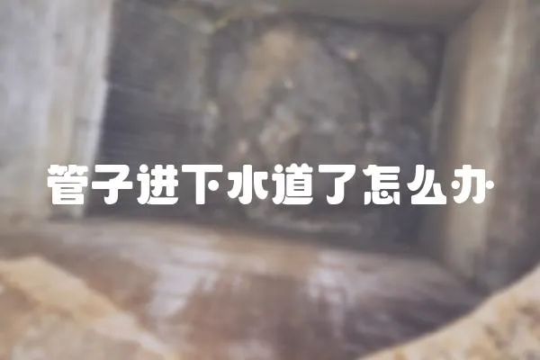 管子進(jìn)下水道了怎么辦