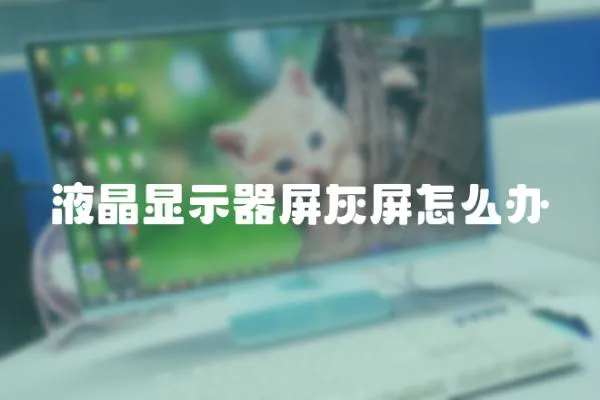 液晶顯示器屏灰屏怎么辦