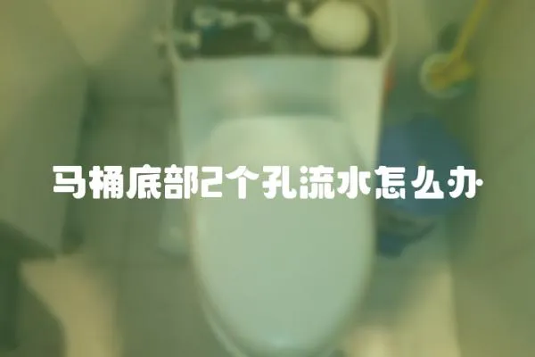 馬桶底部2個孔流水怎么辦