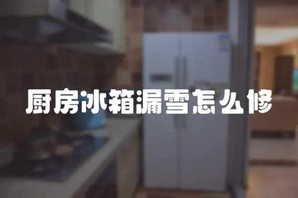廚房冰箱漏雪怎么修