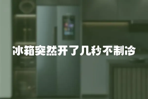 冰箱突然開了幾秒不制冷