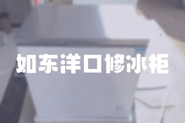 如東洋口修冰柜