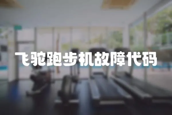 飛駝跑步機故障代碼