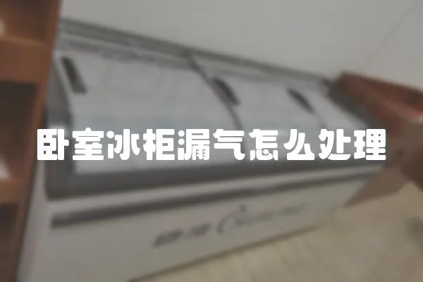 臥室冰柜漏氣怎么處理