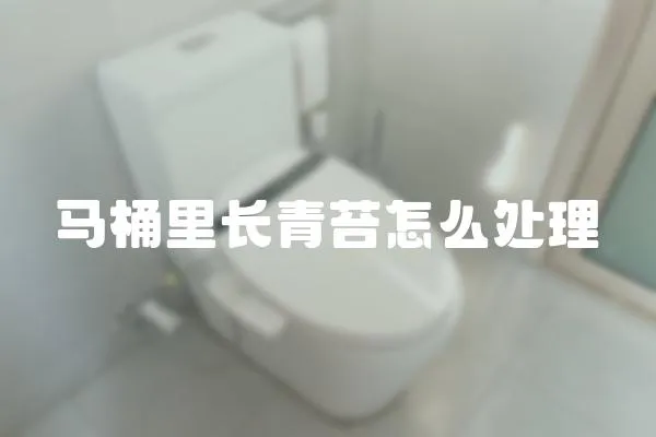 馬桶里長青苔怎么處理