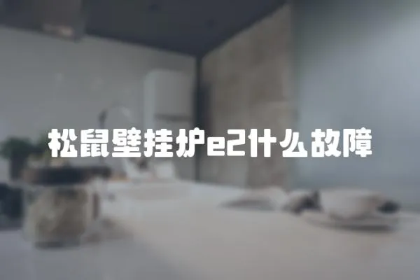 松鼠壁掛爐e2什么故障