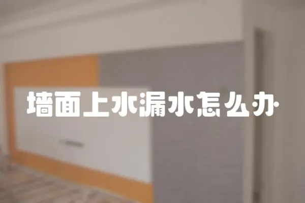墻面上水漏水怎么辦