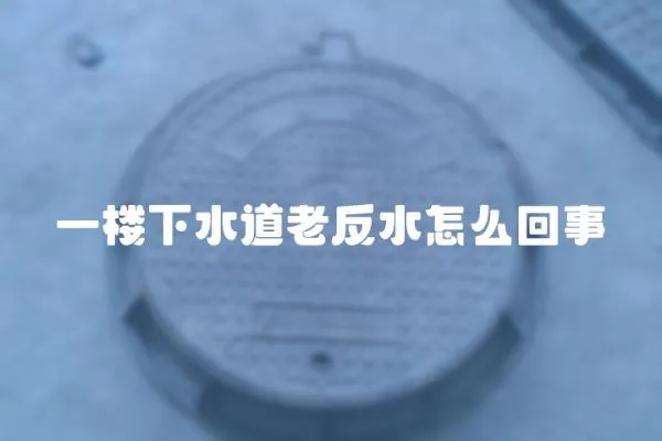 一樓下水道老反水怎么回事
