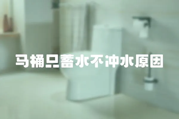 馬桶只蓄水不沖水原因