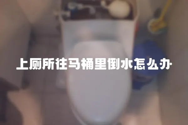 上廁所往馬桶里倒水怎么辦