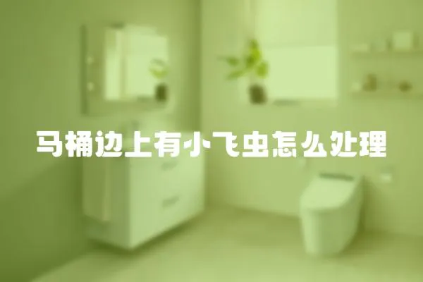 馬桶邊上有小飛蟲怎么處理