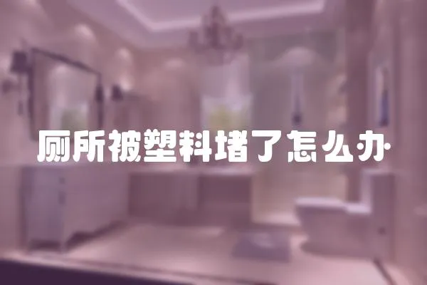 廁所被塑料堵了怎么辦