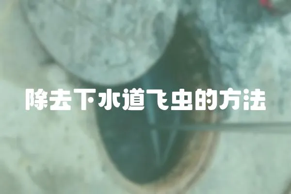 除去下水道飛蟲的方法