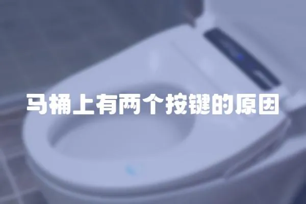 馬桶上有兩個按鍵的原因
