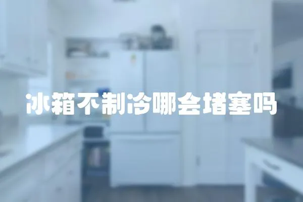 冰箱不制冷哪会堵塞吗