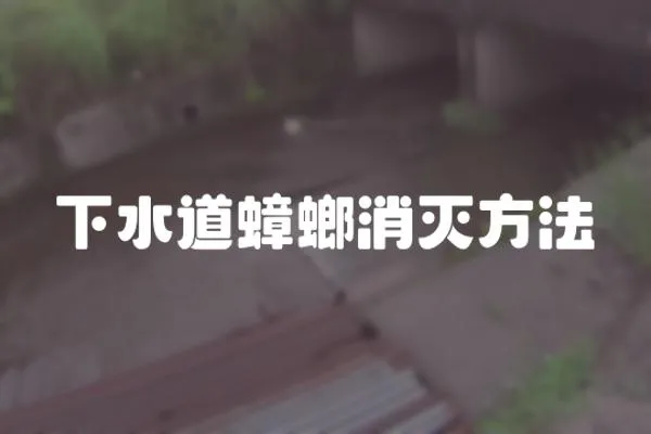 下水道蟑螂消滅方法