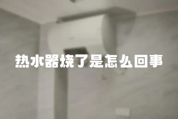 熱水器燒了是怎么回事