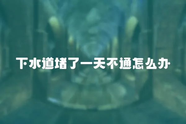下水道堵了一天不通怎么辦