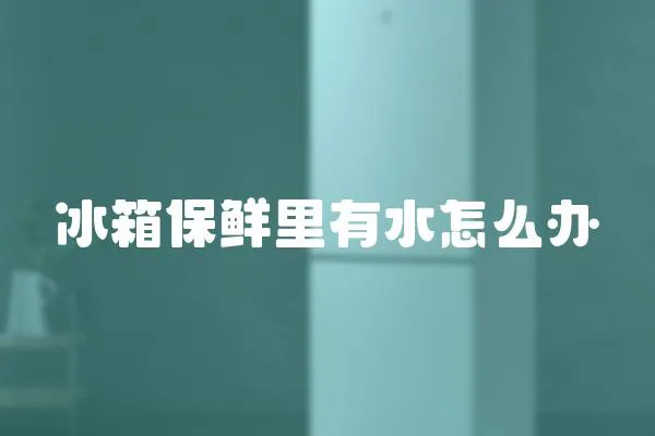 冰箱保鮮里有水怎么辦