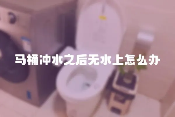 馬桶沖水之后無水上怎么辦