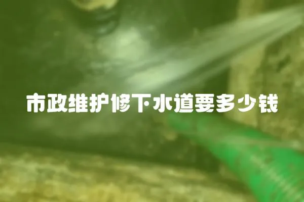 市政維護(hù)修下水道要多少錢