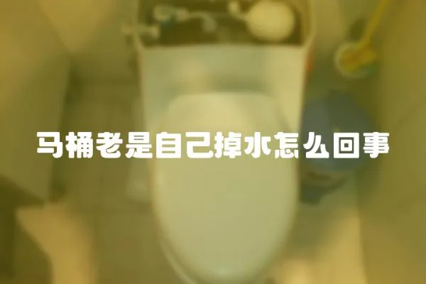 馬桶老是自己掉水怎么回事