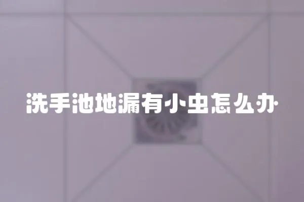洗手池地漏有小蟲怎么辦
