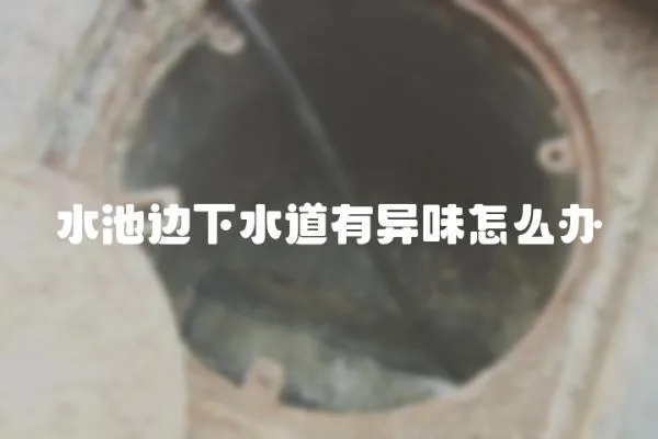 水池邊下水道有異味怎么辦