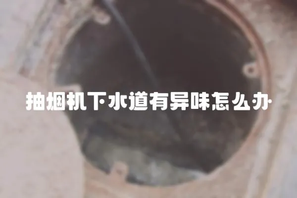 抽煙機下水道有異味怎么辦