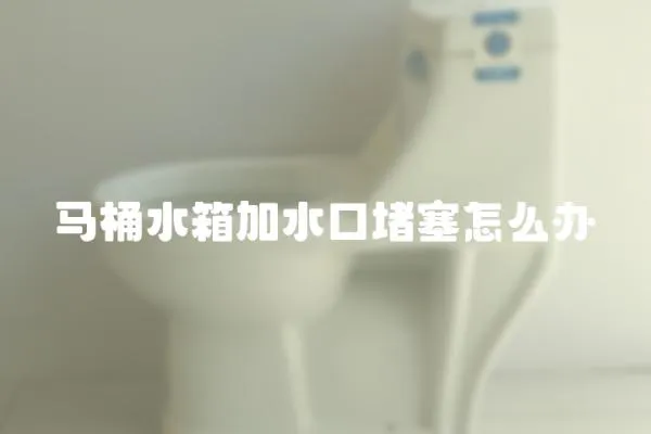 馬桶水箱加水口堵塞怎么辦