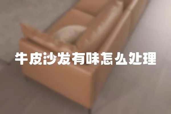 牛皮沙發(fā)有味怎么處理