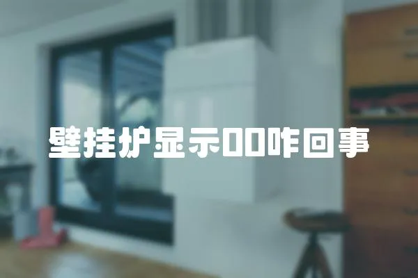 壁掛爐顯示00咋回事