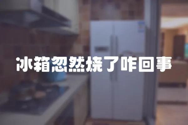 冰箱忽然燒了咋回事
