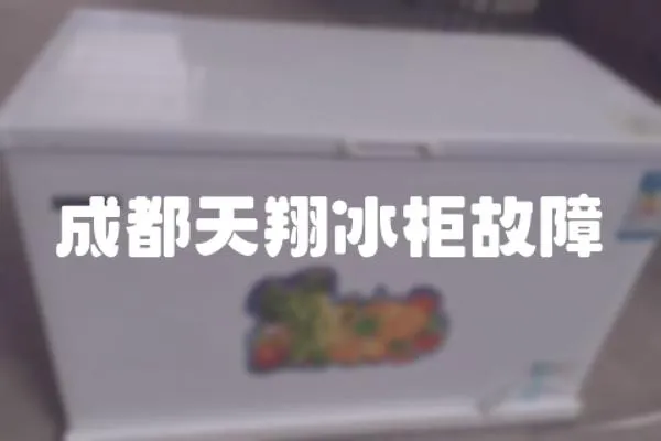 成都天翔冰柜故障
