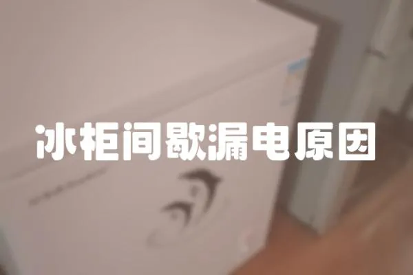 冰柜間歇漏電原因