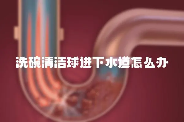 洗碗清潔球進下水道怎么辦