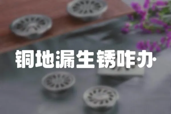 銅地漏生銹咋辦