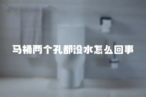 馬桶兩個孔都沒水怎么回事