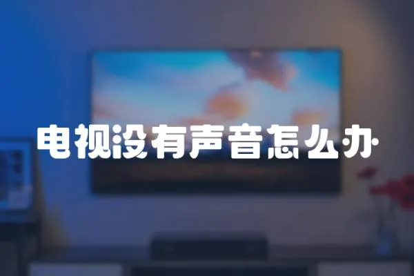 電視沒有聲音怎么辦