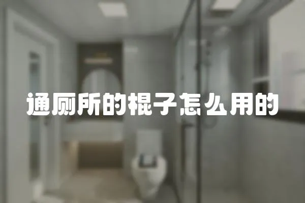 通廁所的棍子怎么用的