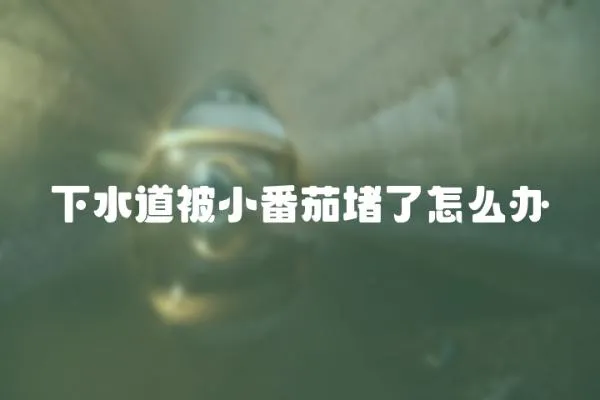 下水道被小番茄堵了怎么辦